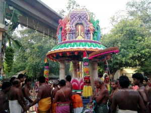 தீர்தத்திருவிழா