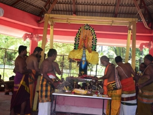 மாம்பழத்திருவிழா